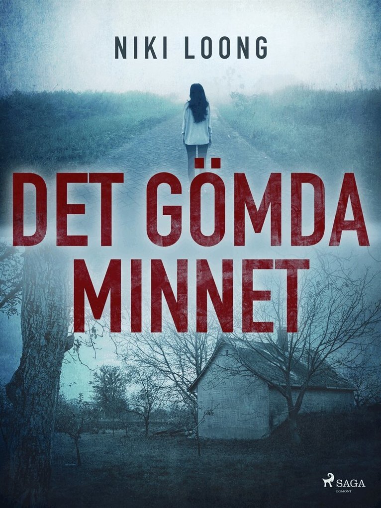 Niki Loong - Det gömda minnet, E-bok