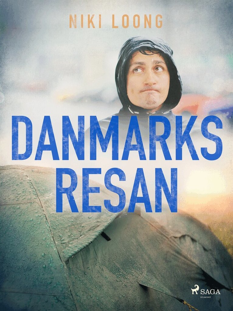 Niki Loong - Danmarksresan, E-bok