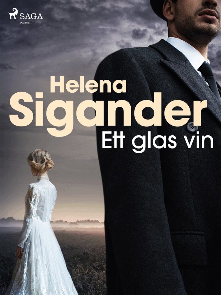 Helena Sigander - Ett glas vin, E-bok