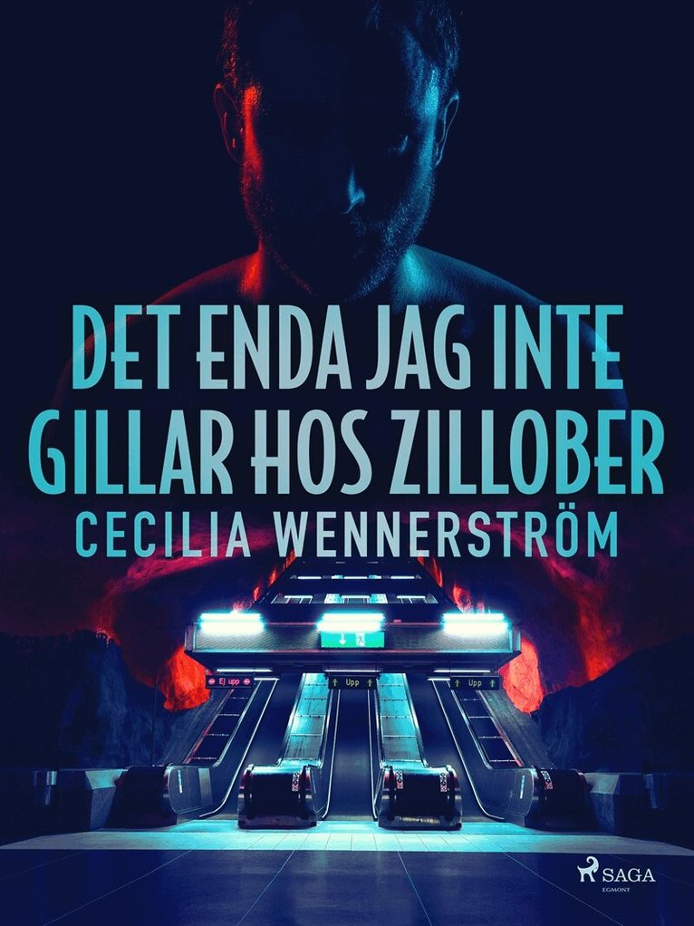 Cecilia Wennerström - Det enda jag inte gillar hos zillober, E-bok