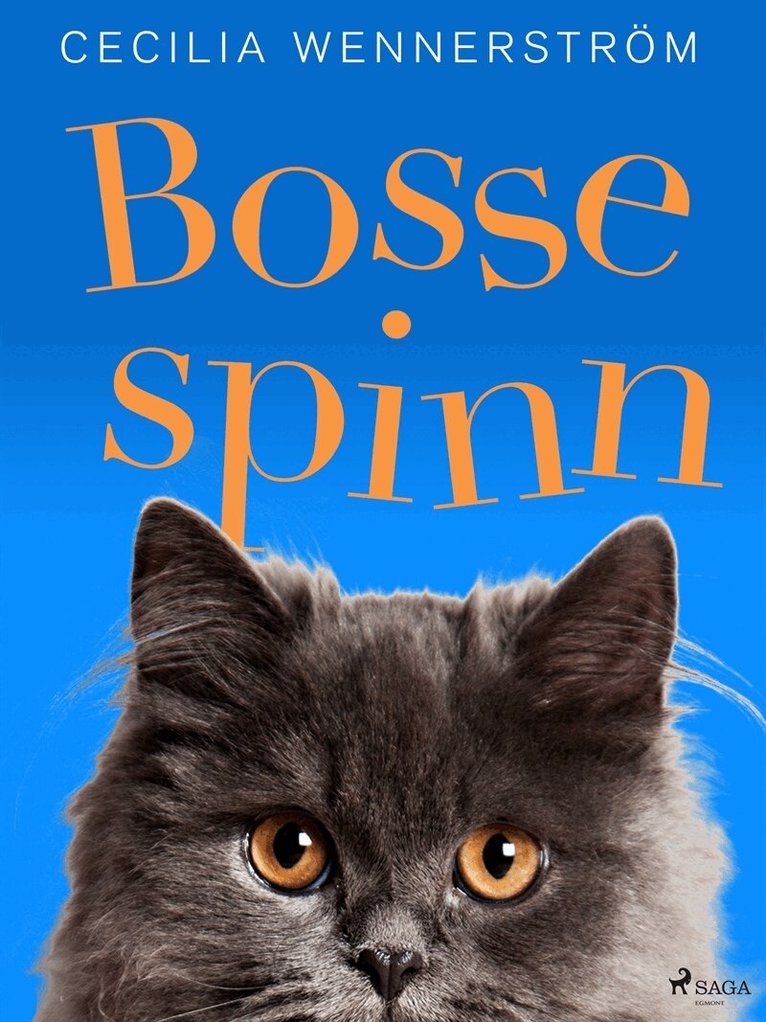 Cecilia Wennerström - Bosse Spinn, E-bok