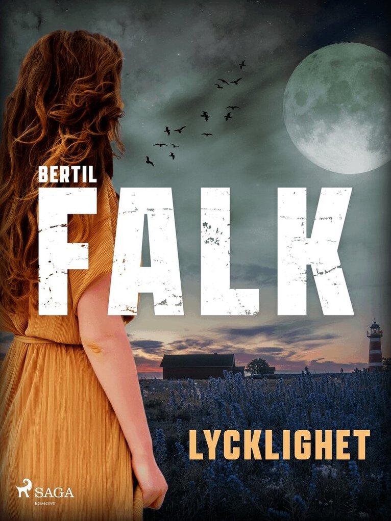 Bertil Falk - Lycklighet, E-bok