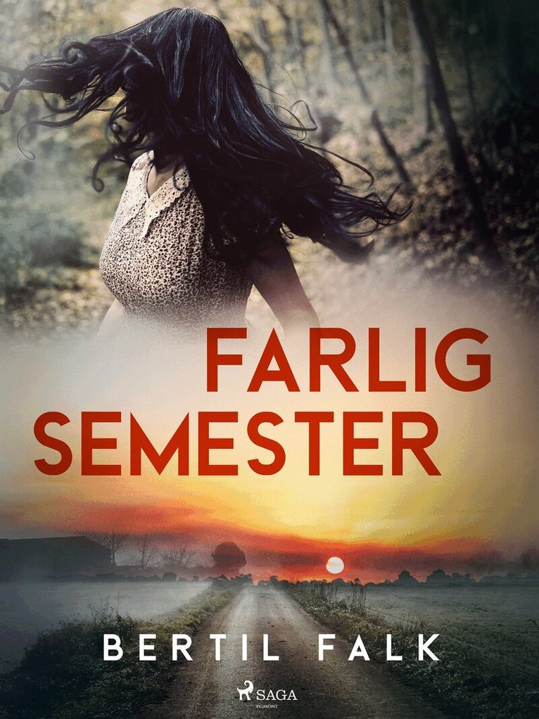 Bertil Falk - Farlig semester, E-bok
