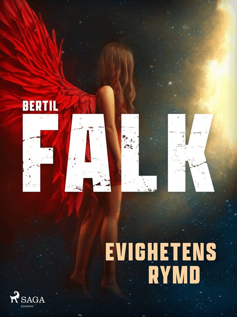 Bertil Falk - Evighetens Rymd, E-bok
