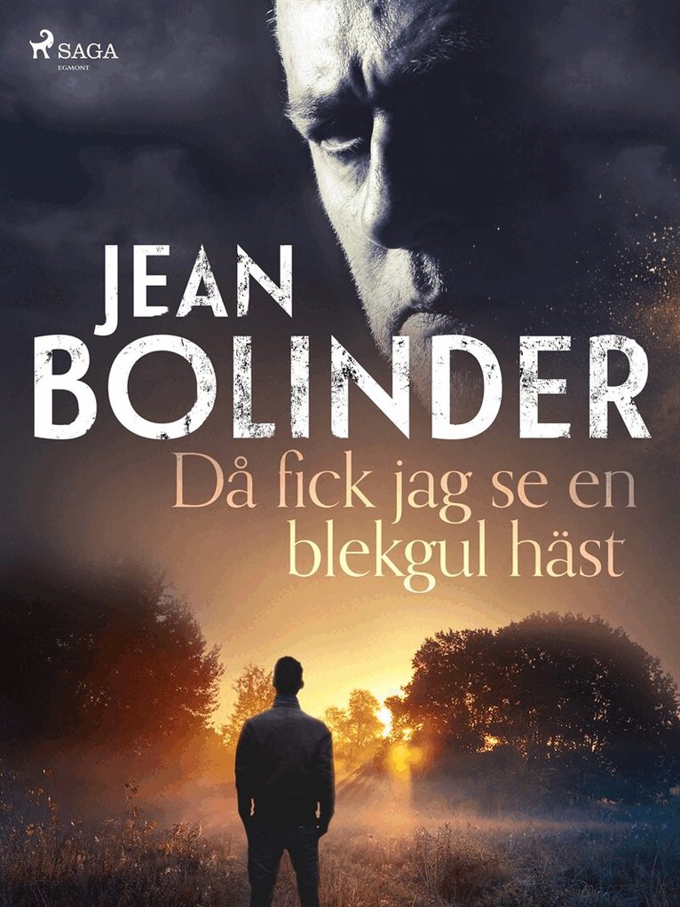 Jean Bolinder - Då fick jag se en blekgul häst, E-bok
