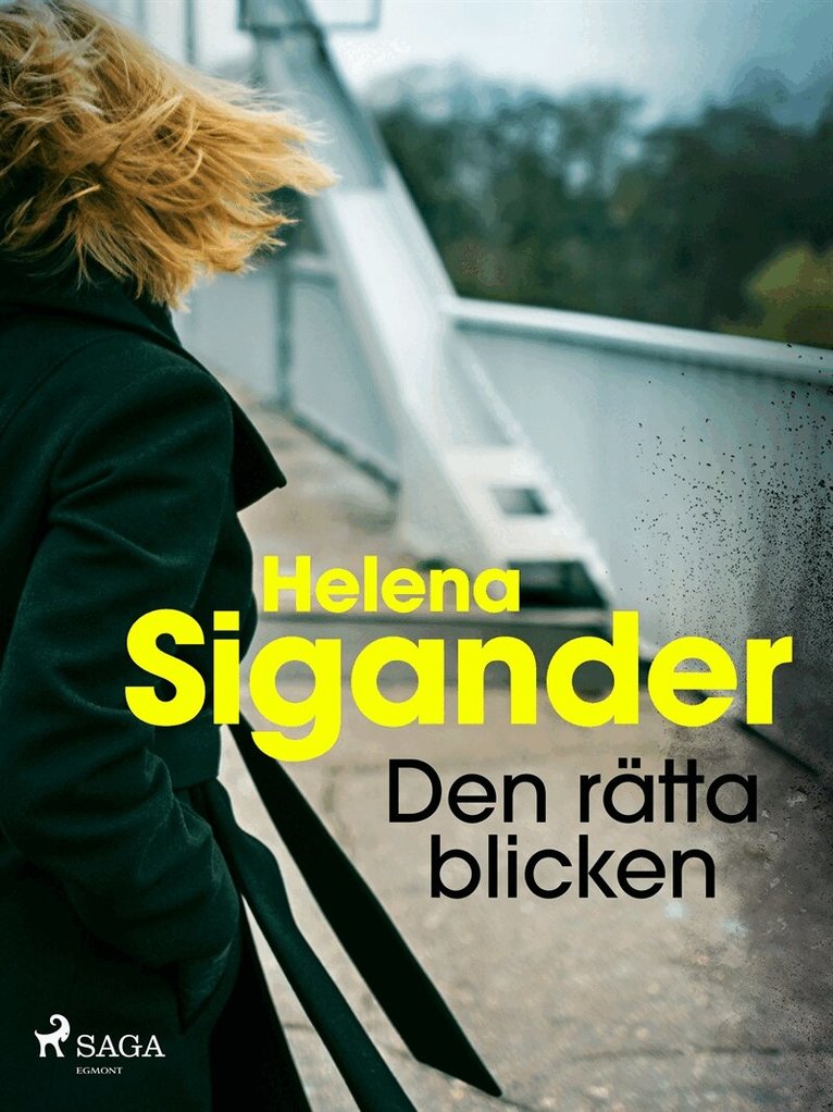 Helena Sigander - Den rätta blicken, E-bok