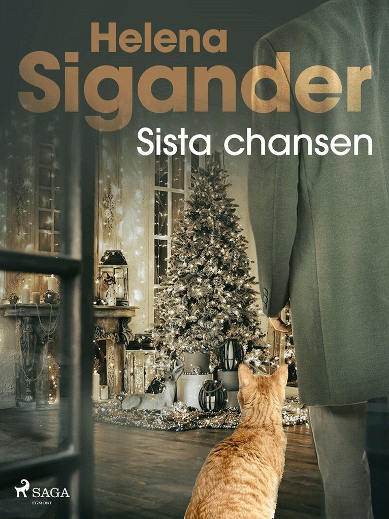Helena Sigander - Sista chansen, E-bok
