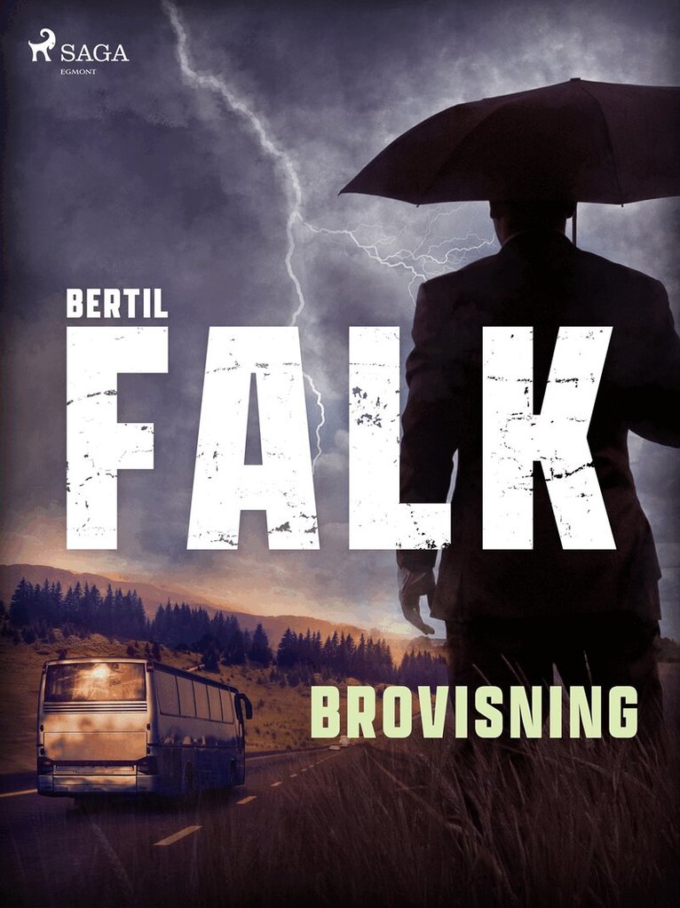 Bertil Falk - Brovisning, E-bok