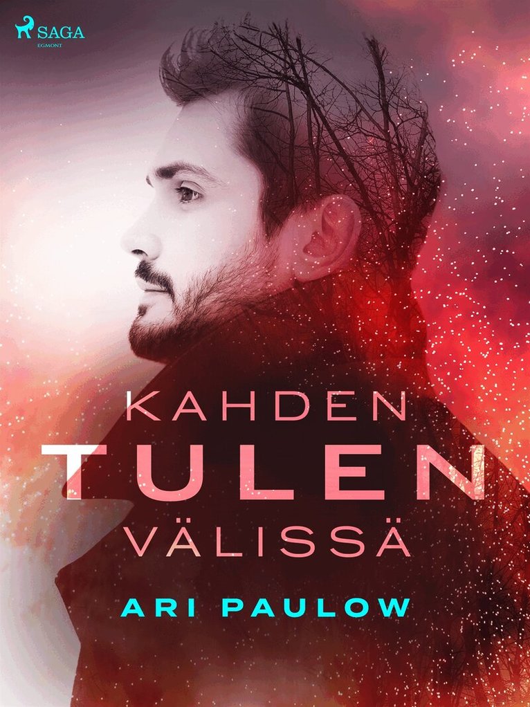 Ari Paulow - Kahden tulen välissä, E-bok