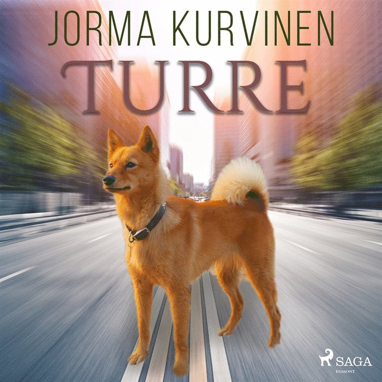 Jorma Kurvinen - Turre, Ljudbok