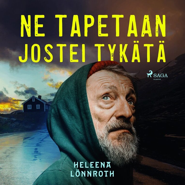 Heleena Lönnroth - Ne tapetaan jostei tykätä, Ljudbok