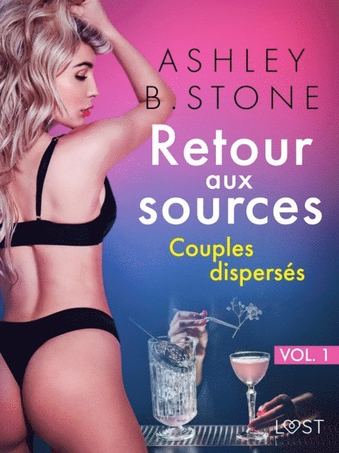 Ashley B. Stone - Retour aux sources vol. 1 : Couples dispersés - Une nouvelle érotique, E-bok