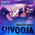 Kielletyt paikat: Siivooja - eroottinen novelli