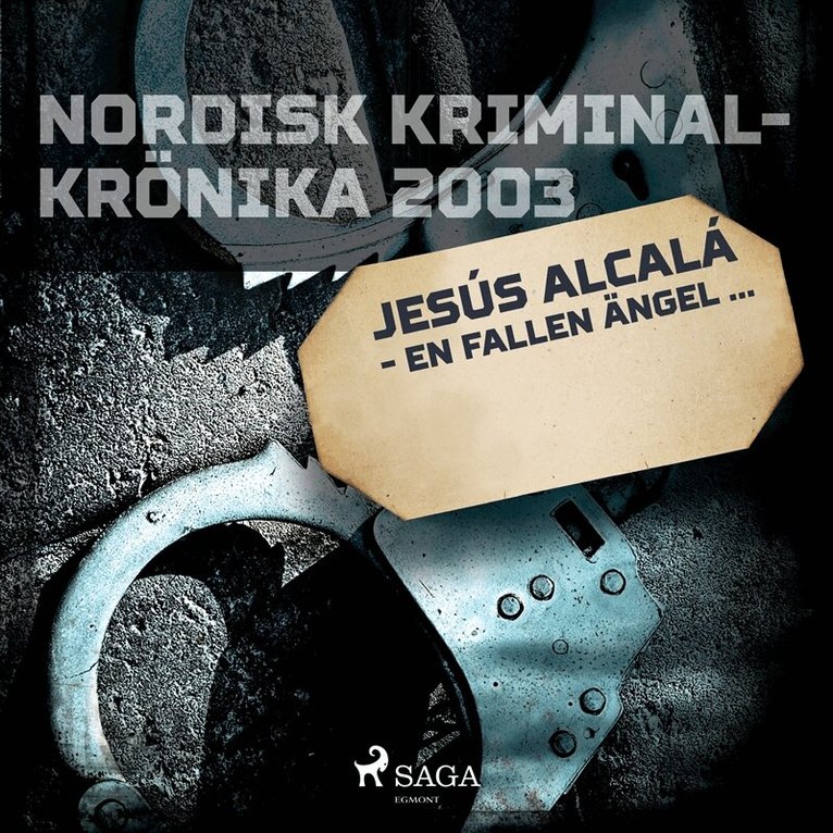 Diverse - Jesús Alcalá - en fallen ängel..., Ljudbok
