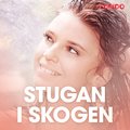 Stugan i skogen ? erotisk novell
