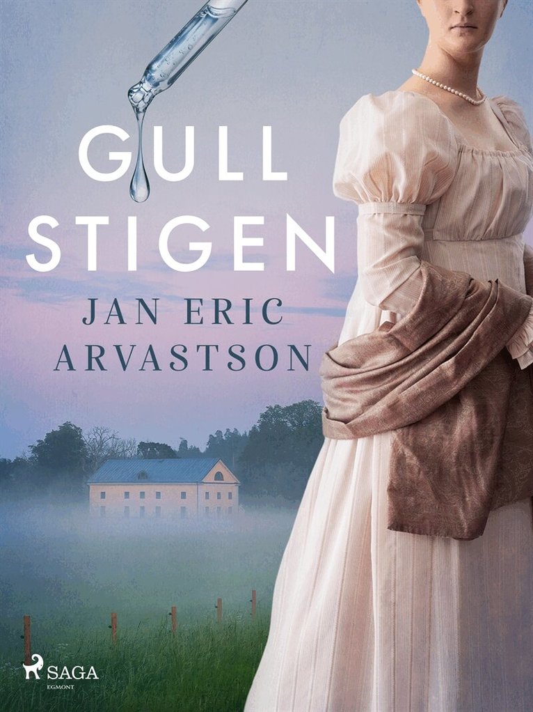 Jan Eric Arvastson - Gullstigen, E-bok