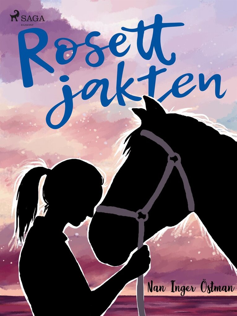 Nan Inger Östman - Rosettjakten, E-bok