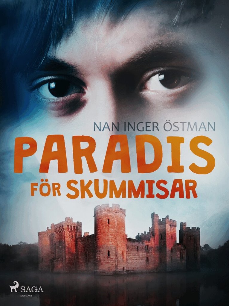 Nan Inger Östman - Paradis för skummisar, E-bok