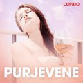 Purjevene - eroottinen novelli