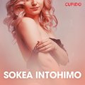 Sokea intohimo ? eroottinen novelli