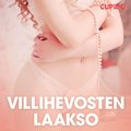 Villihevosten laakso ? eroottinen novelli