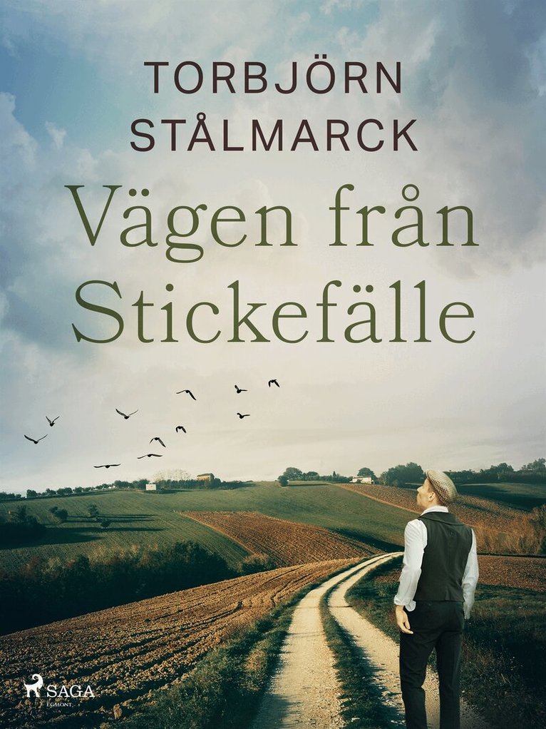 Torbjörn Stålmarck - Vägen från Stickefälle, E-bok