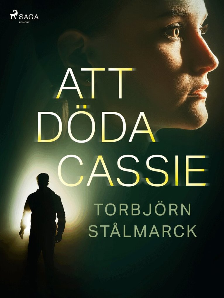 Torbjörn Stålmarck - Att döda Cassie, E-bok