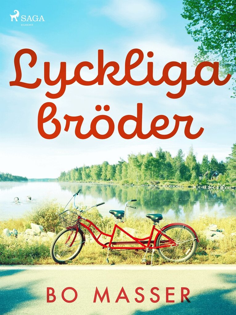 Bo Masser - Lyckliga bröder, E-bok