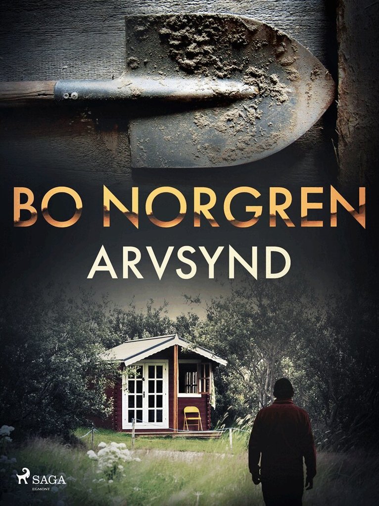 Bo Norgren - Arvsynd, E-bok