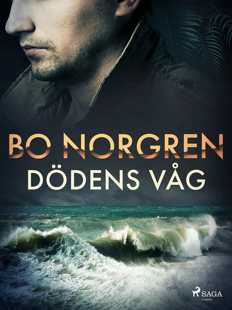 Bo Norgren - Dödens våg, E-bok