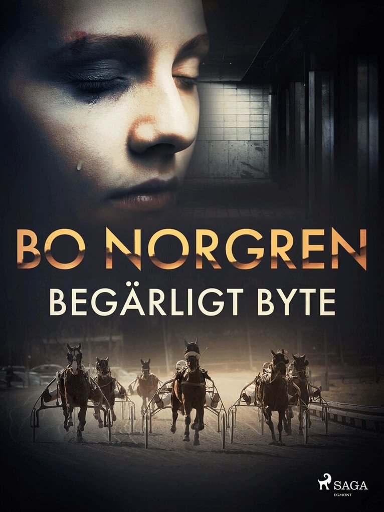 Bo Norgren - Begärligt byte, E-bok