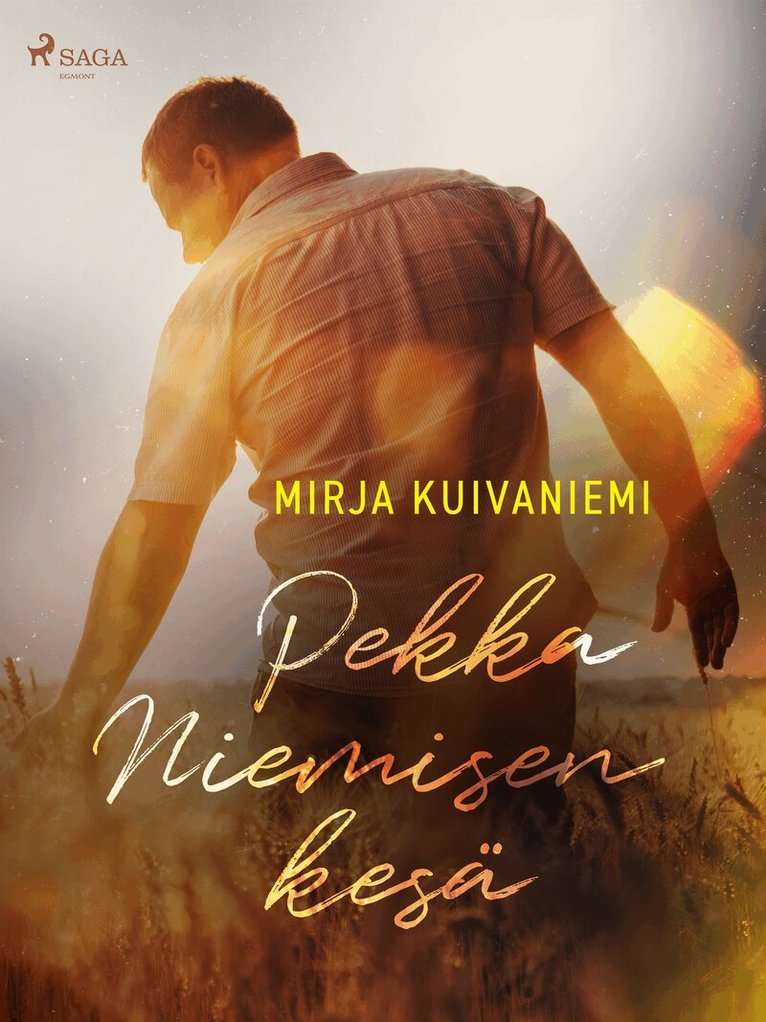 Mirja Kuivaniemi - Pekka Niemisen kesä, E-bok