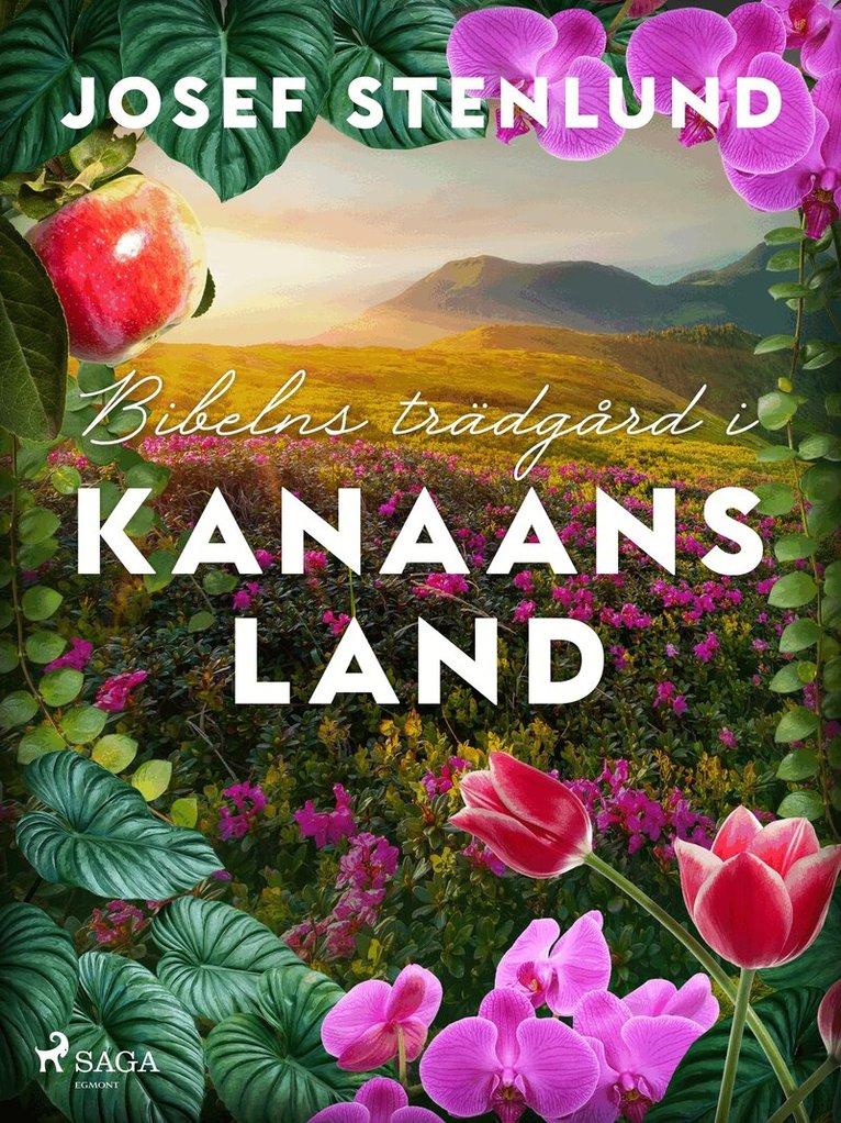 Josef Stenlund - Bibelns trädgård i Kanaans land, E-bok