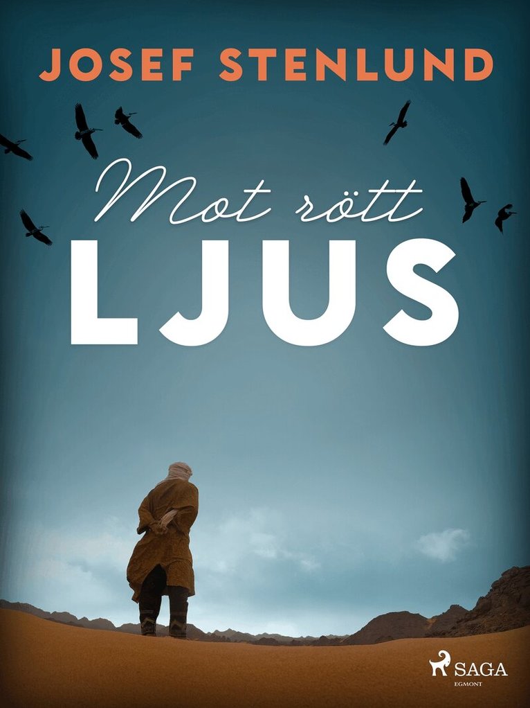 Josef Stenlund - Mot rött ljus, E-bok