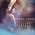 Kuunvalossa ? eroottinen novelli
