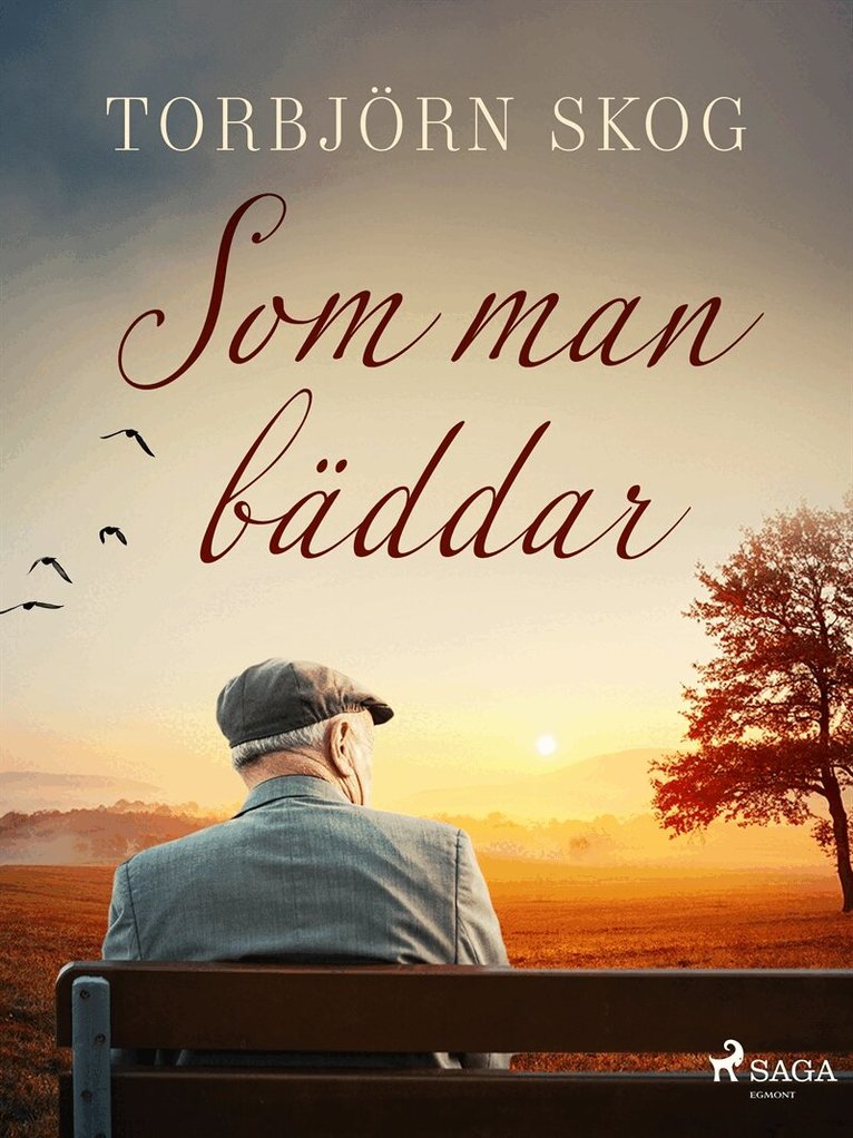 Torbjörn Skog - Som man bäddar, E-bok