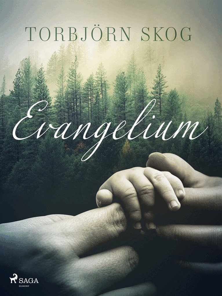 Torbjörn Skog - Evangelium, E-bok