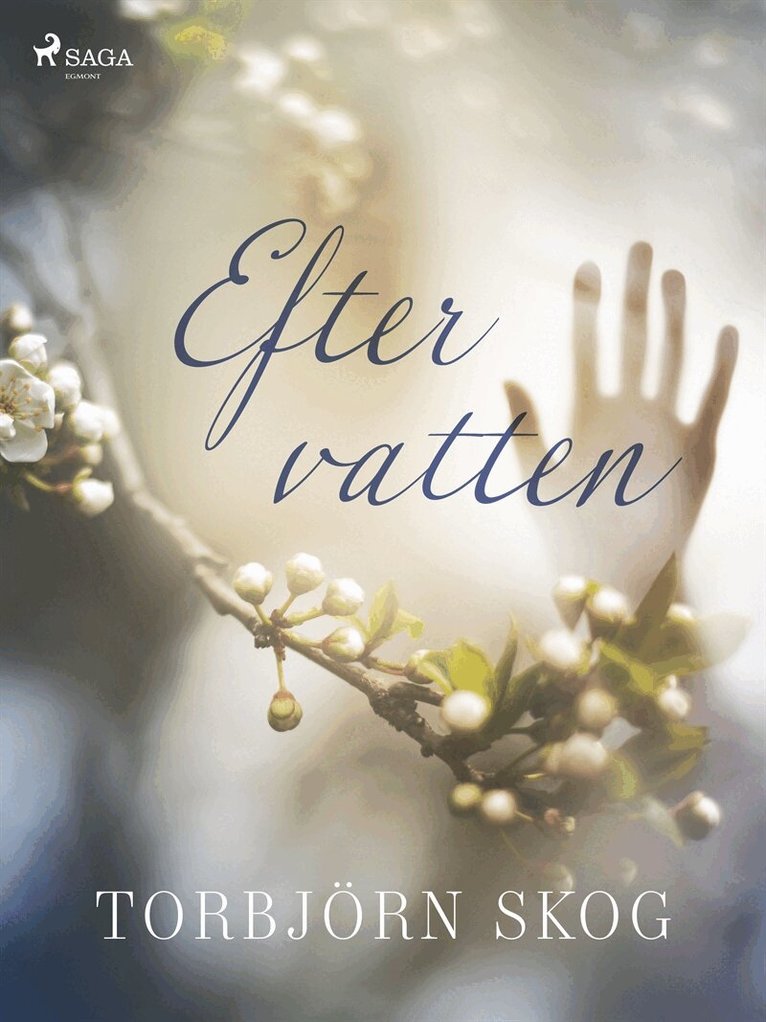 Torbjörn Skog - Efter vatten, E-bok