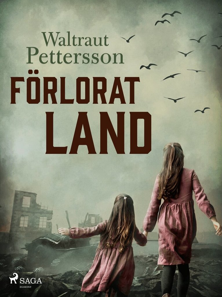 Waltraut Pettersson - Förlorat land, E-bok