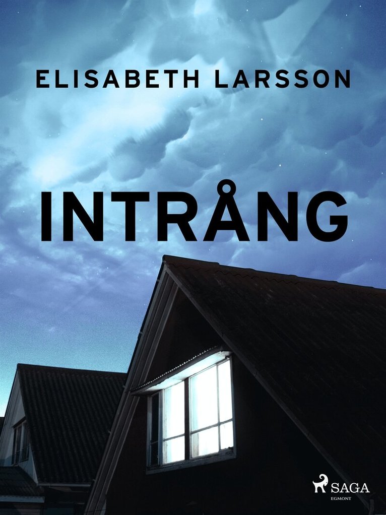 Elisabet Larsson - Intrång, E-bok