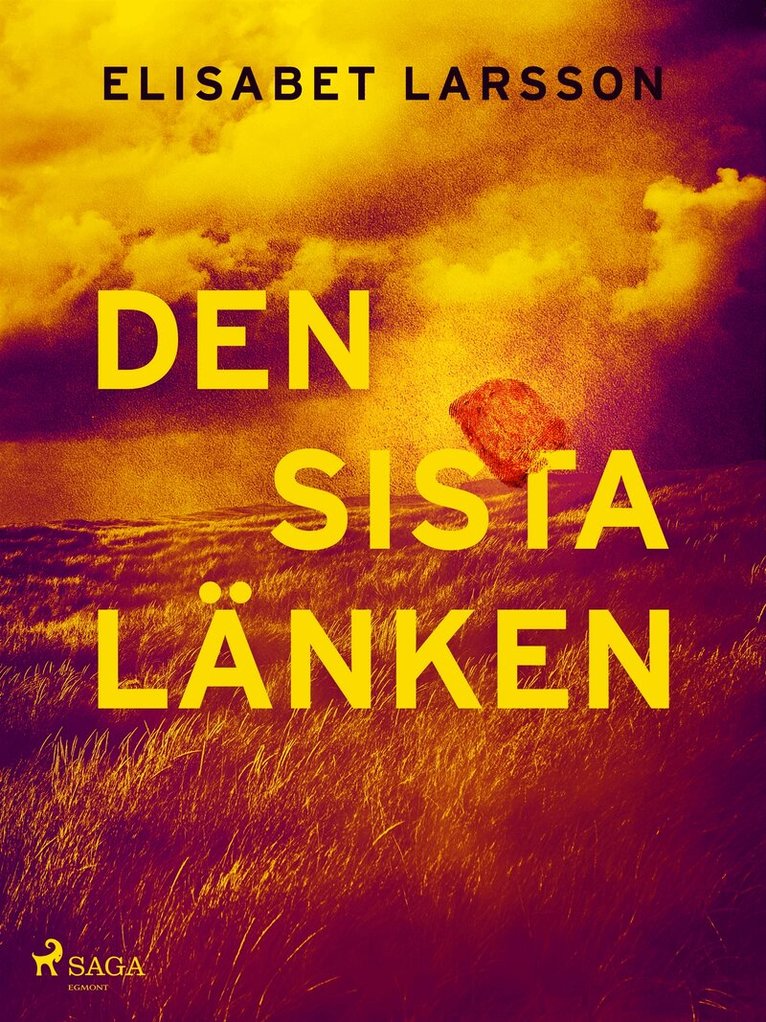 Elisabet Larsson - Den sista länken, E-bok