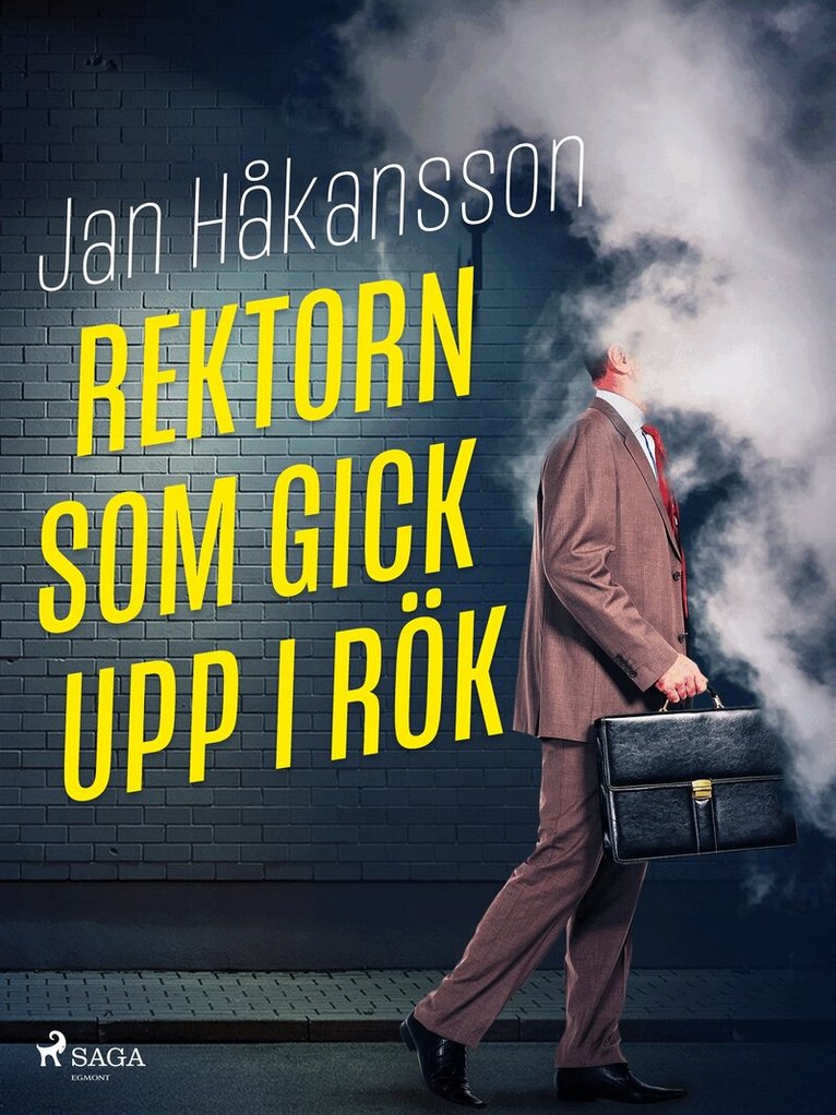 Jan Håkansson - Rektorn som gick upp i rök, E-bok
