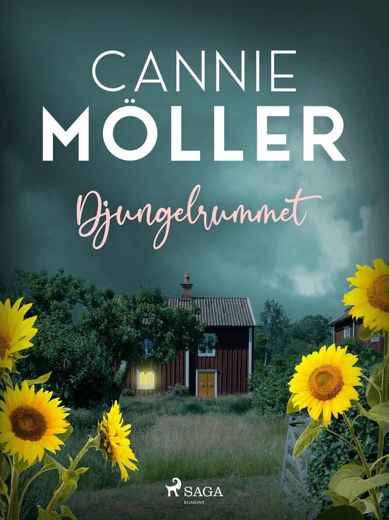 Cannie Möller - Djungelrummet, E-bok