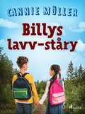 Billys lavv-stry