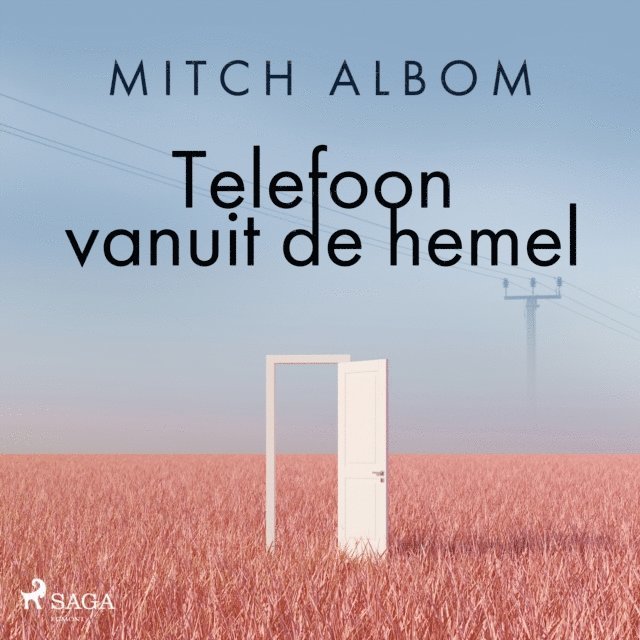 Albom - Telefoon vanuit de hemel, Ljudbok