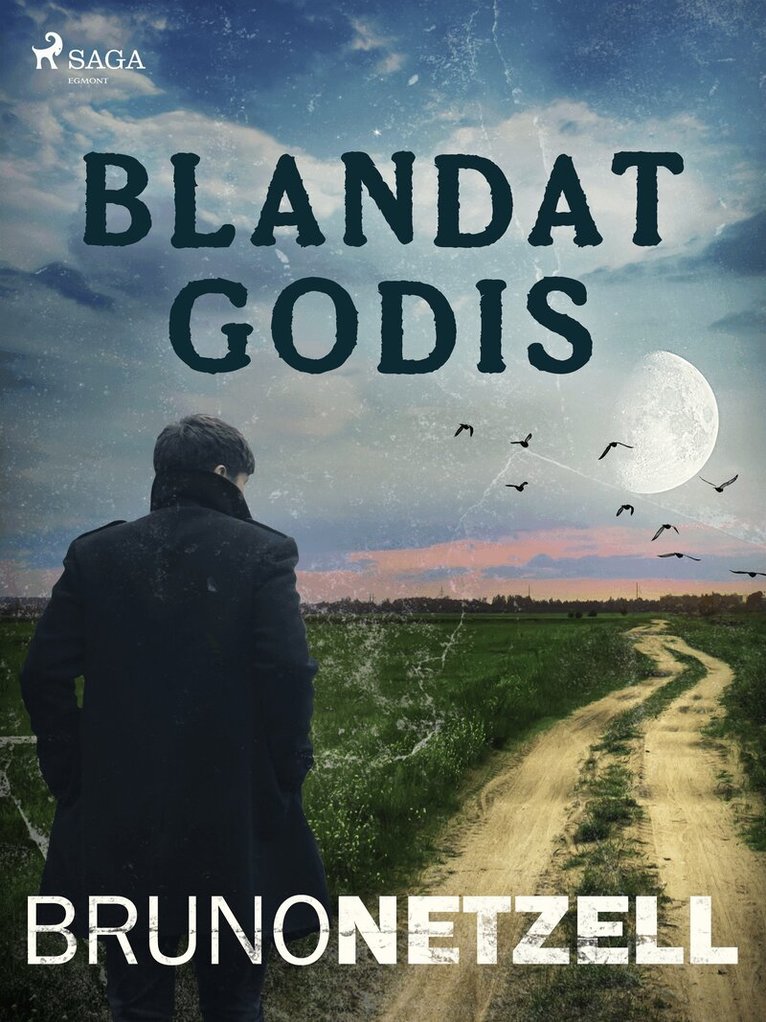 Bruno Netzell - Blandat godis, E-bok