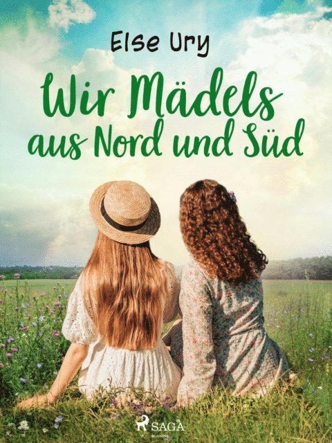 Else Ury - Wir Mädels aus Nord und Süd, E-bok