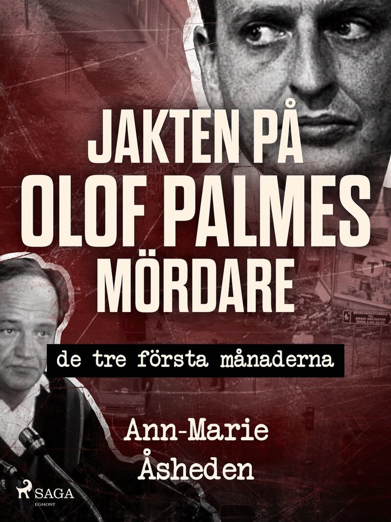 Ann-Marie Åsheden - Jakten på Olof Palmes mördare, E-bok