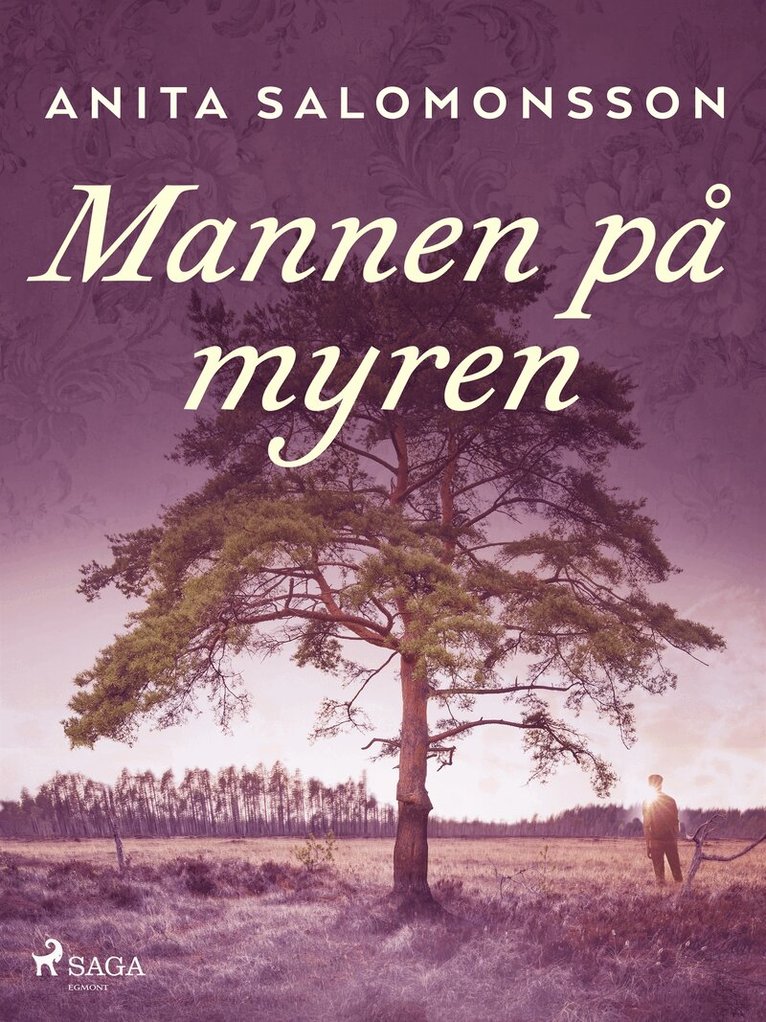 Anita Salomonsson - Mannen på myren, E-bok