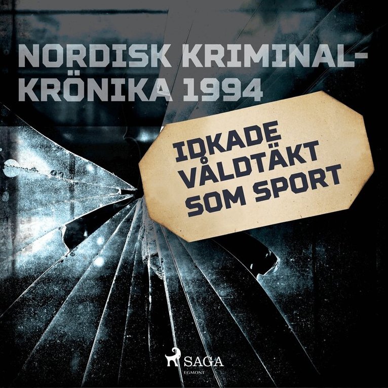 Diverse - Idkade våldtäkt som sport, Ljudbok